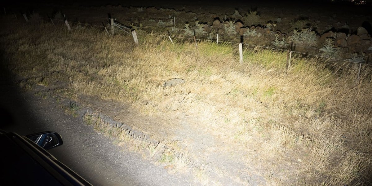 STEDI 90w LED Flood Light - NZ Offroader