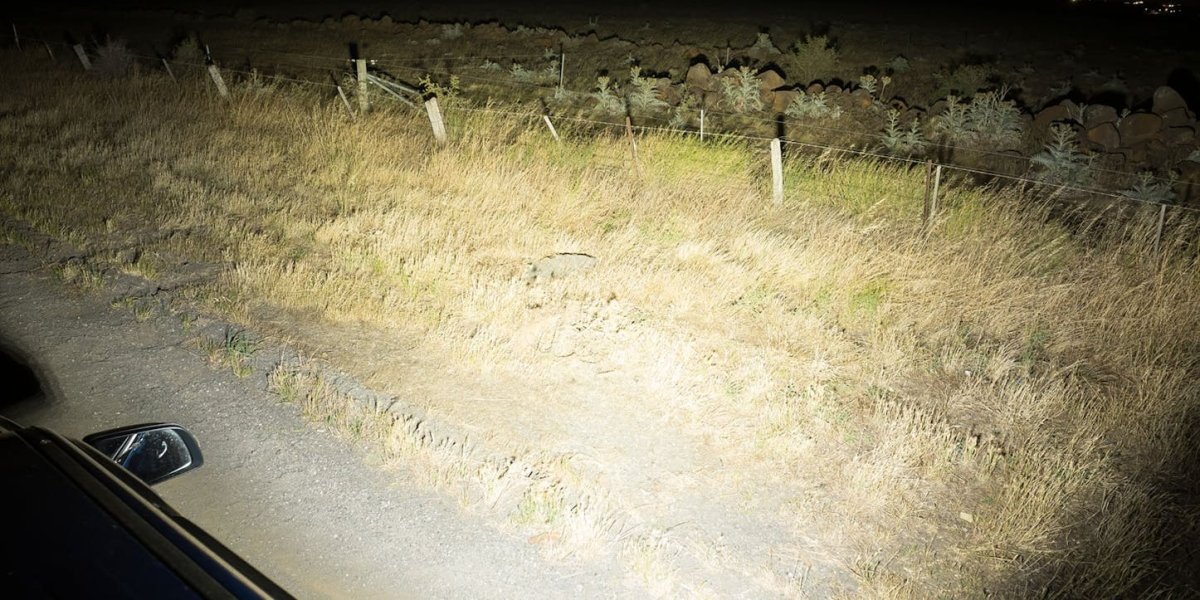 STEDI Flood Light - 120W - NZ Offroader