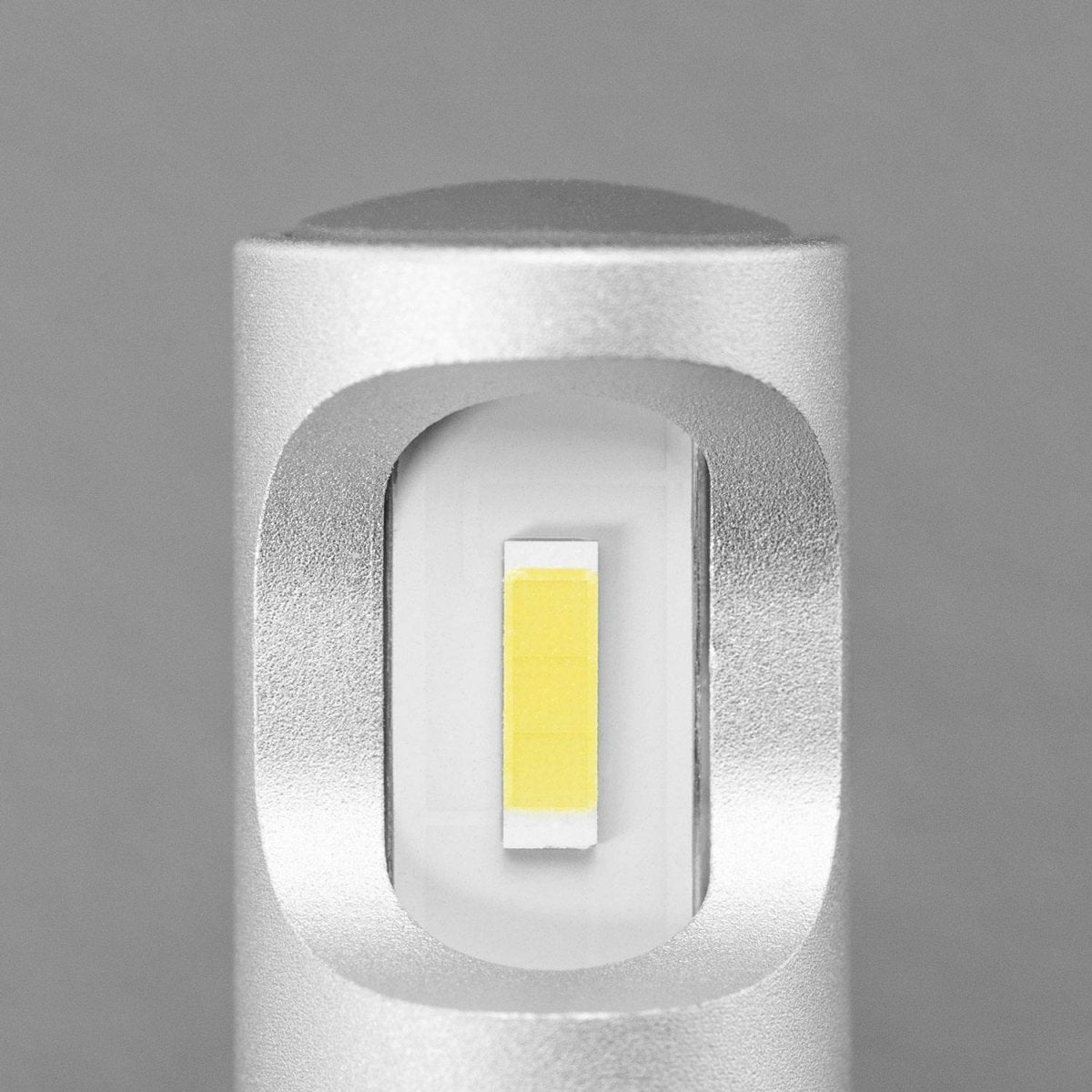 STEDI PWY24W LED Bulbs (Pair) - NZ Offroader