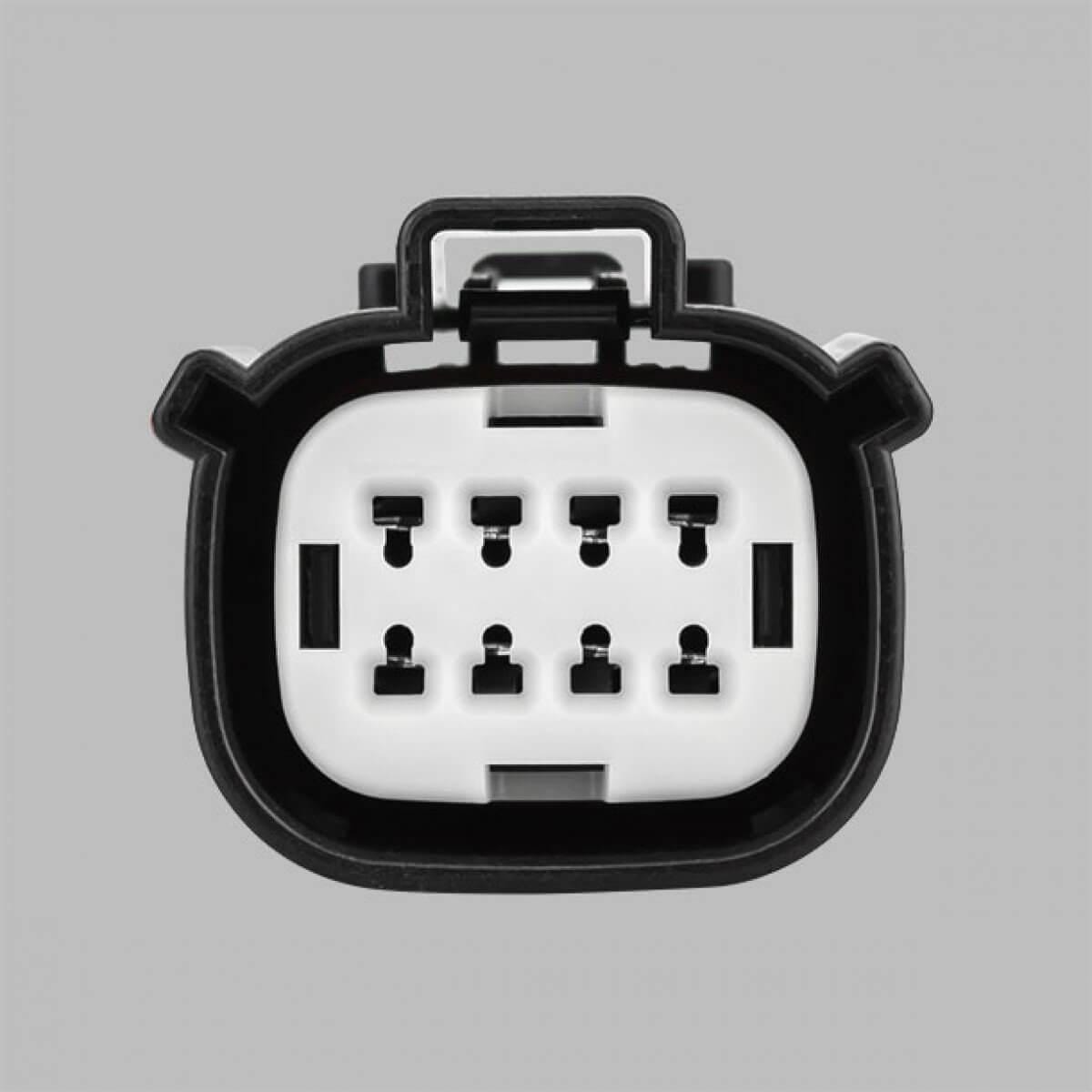 STEDI Ford Ranger Raptor & Everest Piggy Back Adapter - NZ Offroader