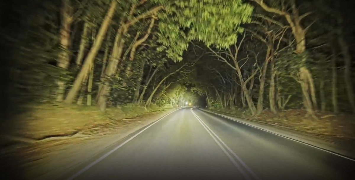 STEDI Type - X Sport Plus 8.5" - NZ Offroader