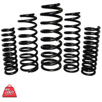 Thumbnail for EFS Coil Springs TPR-101 - NZ Offroader