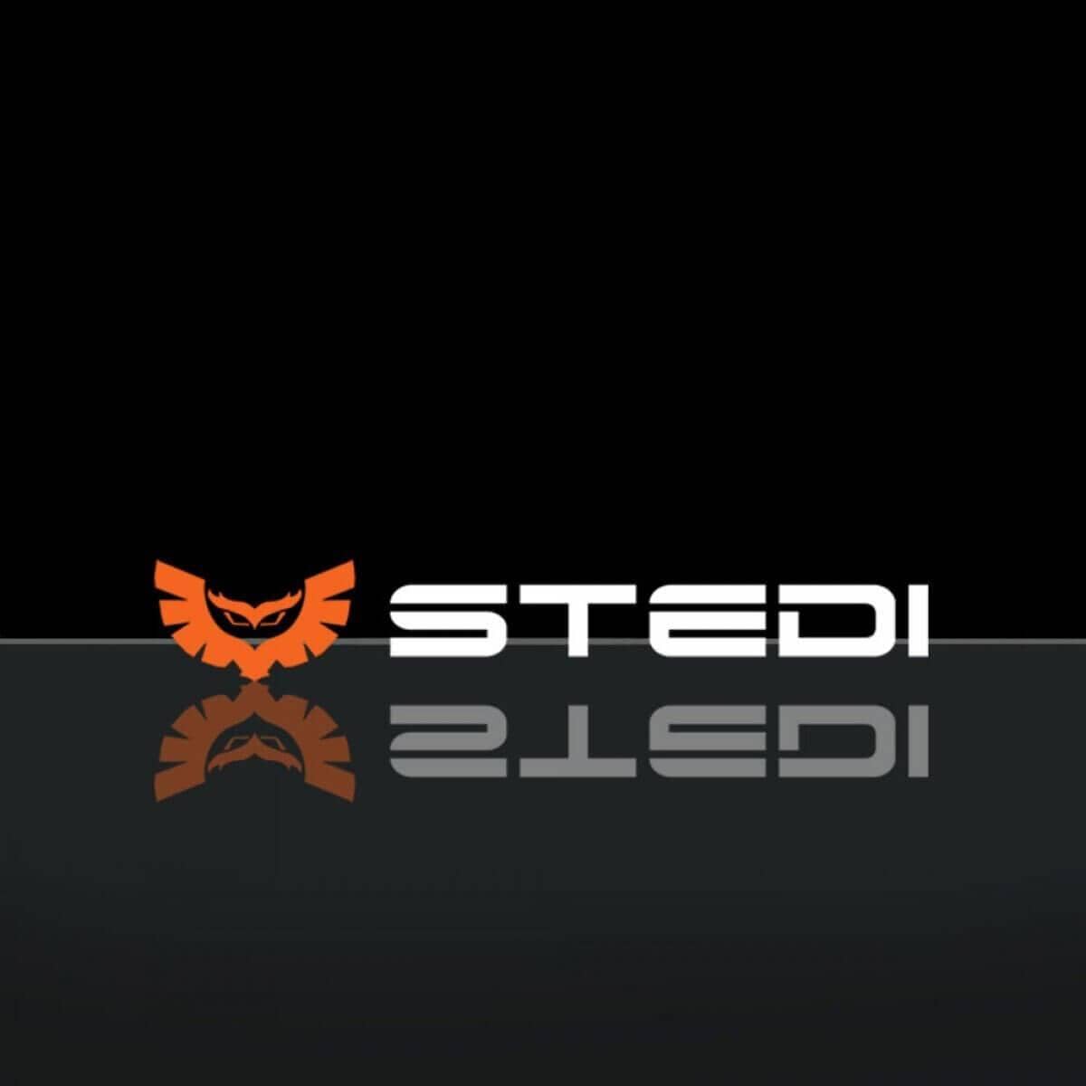 STEDI Banner Sticker 270mm x 40mm - NZ Offroader